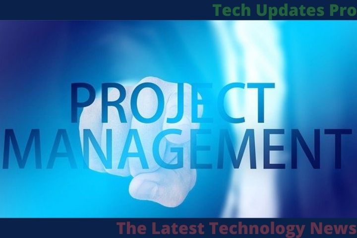 What Is Project Management For?