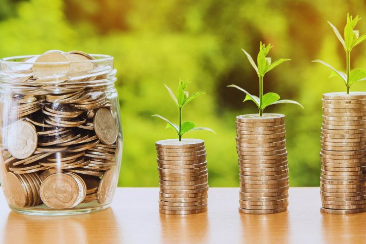 How do I Stop or Pause an SIP in the Nippon Mutual Fund App?